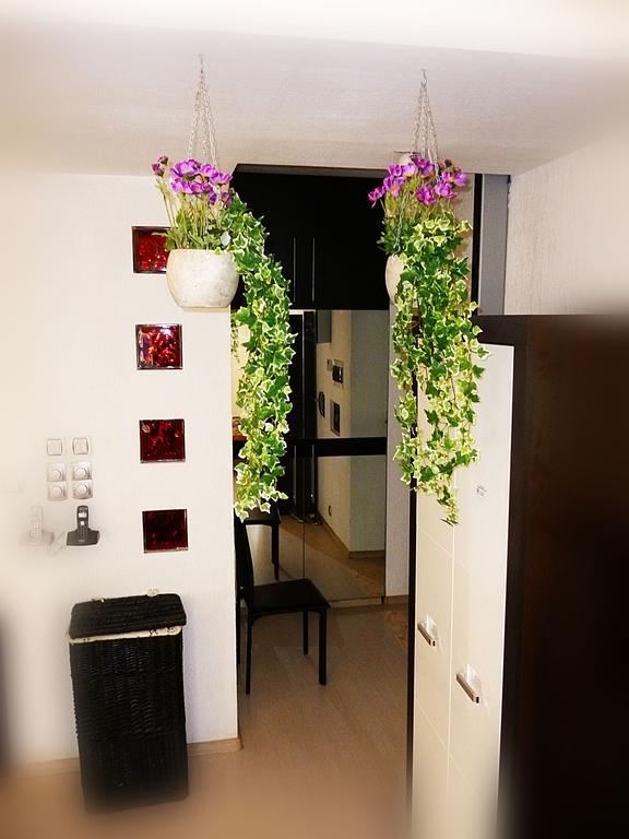 דאוגבפילס Ditton Apartment City Center חדר תמונה